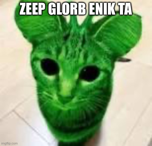 alien cat | ZEEP GLORB ENIK TA | image tagged in alien cat | made w/ Imgflip meme maker
