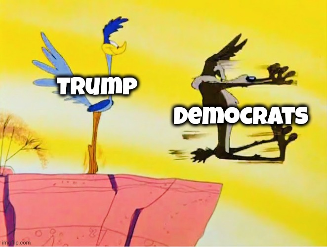 Road runner Adam Schiff | Trump Democrats | image tagged in road runner adam schiff | made w/ Imgflip meme maker