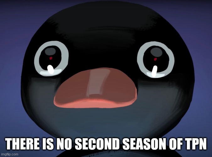 Pingu stare | THERE IS NO SECOND SEASON OF TPN | image tagged in pingu stare | made w/ Imgflip meme maker