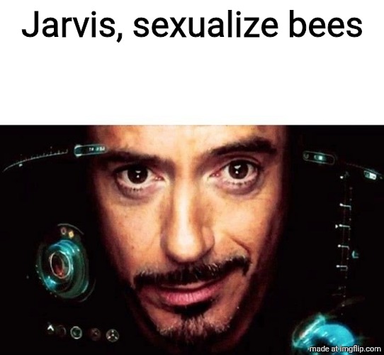 Only slightly questionable | Jarvis, sexualize bees | image tagged in jarvis template | made w/ Imgflip meme maker