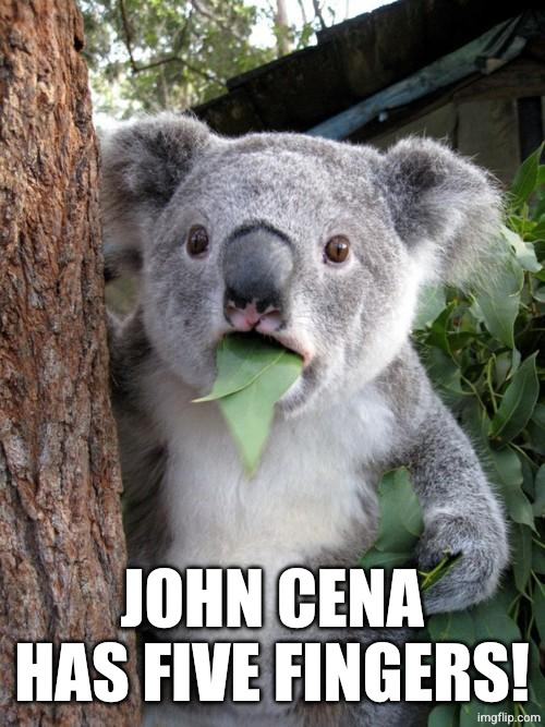Surprised Koala Meme | JOHN CENA HAS FIVE FINGERS! | image tagged in memes,surprised koala | made w/ Imgflip meme maker