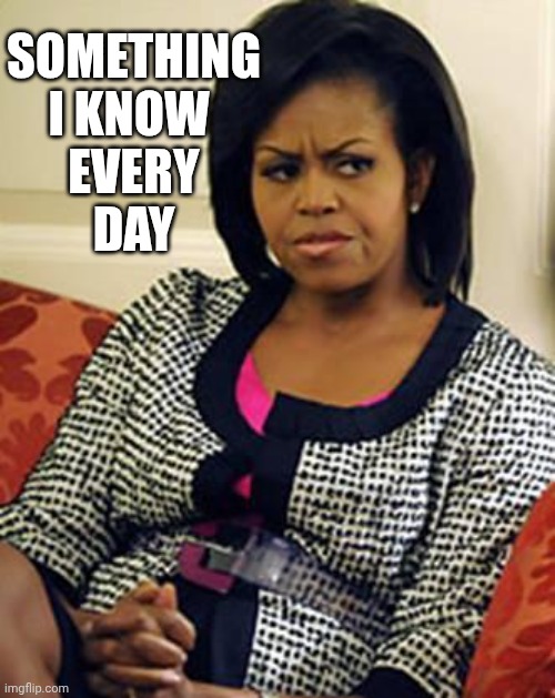 Michelle Obama is not pleased | SOMETHING
I KNOW 
EVERY
DAY | image tagged in michelle obama is not pleased | made w/ Imgflip meme maker