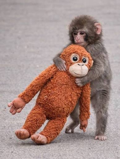 Punch Blank Meme Template