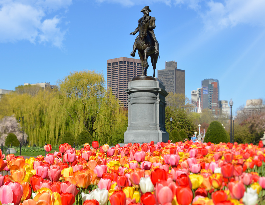 Spring Boston Common Blank Meme Template