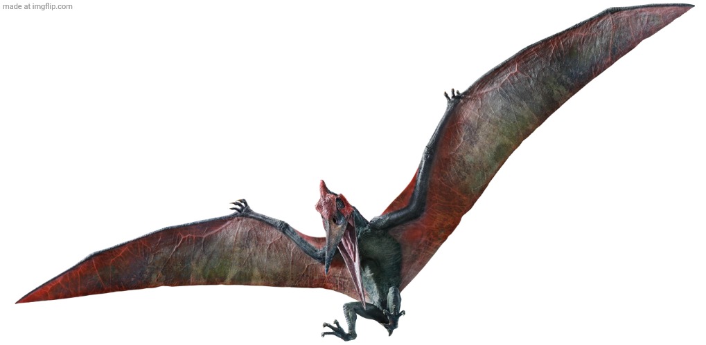 Pteranodon 2 (JW Design) | image tagged in pteranodon 2 jw design | made w/ Imgflip meme maker
