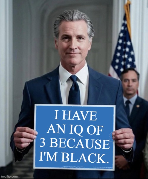 Gavin Newsom | I HAVE AN IQ OF 3 BECAUSE I'M BLACK. | image tagged in gavin newsom,democrats,black,california,iq,three | made w/ Imgflip meme maker