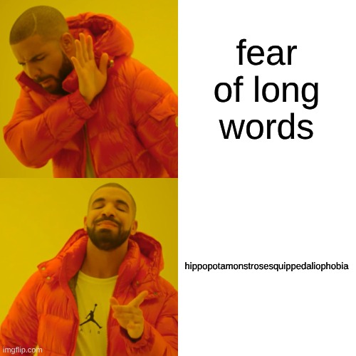 Drake Hotline Bling Meme | fear of long words hippopotamonstrosesquippedaliophobia | image tagged in memes,drake hotline bling | made w/ Imgflip meme maker