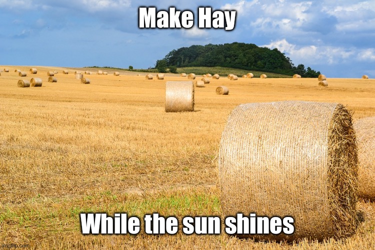 Hay bale | Make Hay While the sun shines | image tagged in hay bale | made w/ Imgflip meme maker