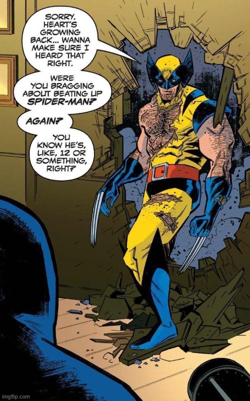 Wolverine | image tagged in wolverine,logan,spiderman,xmen,comics | made w/ Imgflip meme maker