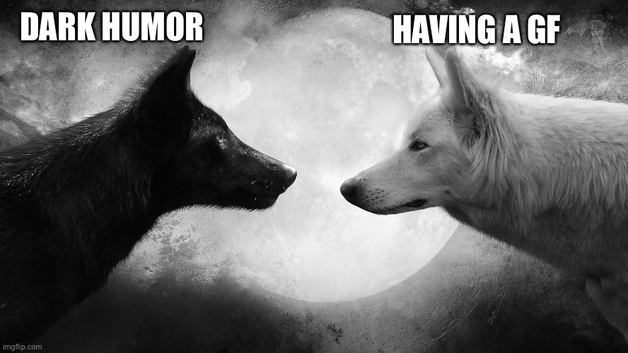 light vs dark wolves | DARK HUMOR HAVING A GF | image tagged in light vs dark wolves | made w/ Imgflip meme maker