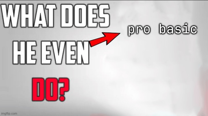 What Does He Even Do Blank Template | pro basic | image tagged in what does he even do blank template | made w/ Imgflip meme maker