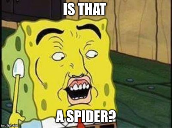 sponge bob bruh | IS THAT; A SPIDER? | image tagged in sponge bob bruh | made w/ Imgflip meme maker