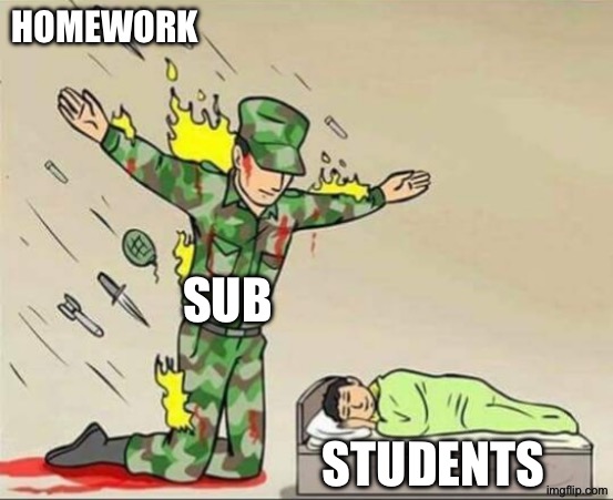 Yaaaas | HOMEWORK; SUB; STUDENTS | image tagged in soldier protecting sleeping child | made w/ Imgflip meme maker