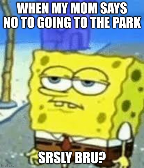WHEN MY MOM SAYS NO TO GOING TO THE PARK; SRSLY BRU? | made w/ Imgflip meme maker