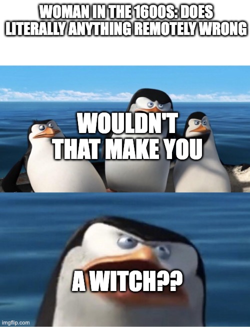 1600s woman | WOMAN IN THE 1600S: DOES LITERALLY ANYTHING REMOTELY WRONG; WOULDN'T THAT MAKE YOU; A WITCH?? | image tagged in wouldn't that make you,history,penguins of madagascar,historical meme | made w/ Imgflip meme maker