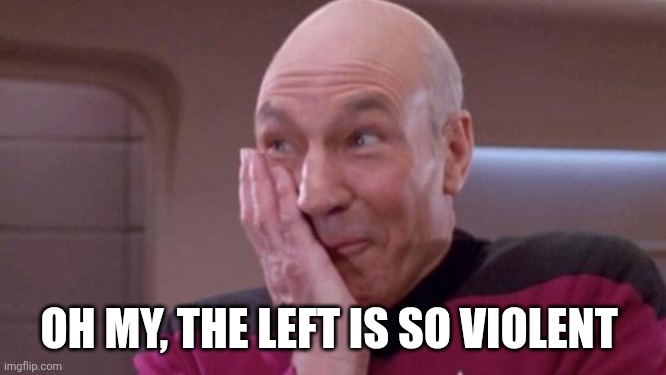 picard oops | OH MY, THE LEFT IS SO VIOLENT | image tagged in picard oops | made w/ Imgflip meme maker