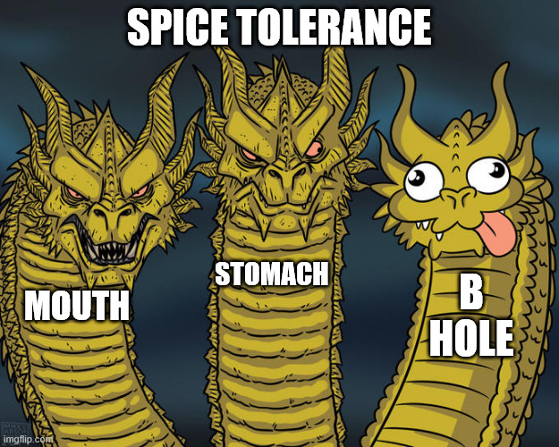 Three-headed Dragon | SPICE TOLERANCE; STOMACH; B HOLE; MOUTH | image tagged in three-headed dragon | made w/ Imgflip meme maker