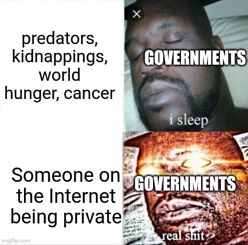 We need age verification to go away. NOW! It's not too late. We can still save the world | predators, kidnappings, world hunger, cancer; GOVERNMENTS; Someone on the Internet being private; GOVERNMENTS | image tagged in memes,sleeping shaq,politics,government corruption,government,crisis | made w/ Imgflip meme maker