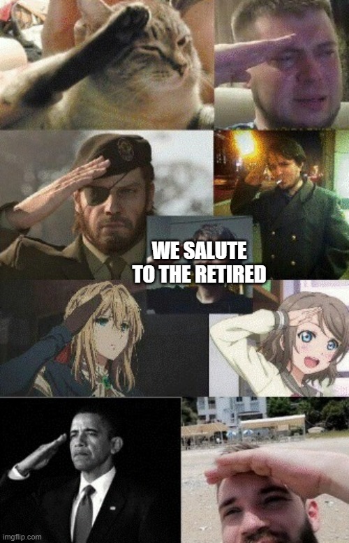SALUTE TO THE FALLEN | WE SALUTE TO THE RETIRED | image tagged in salute to the fallen | made w/ Imgflip meme maker