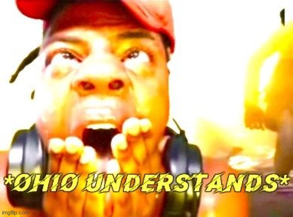 Ohio understands | image tagged in ohio understands | made w/ Imgflip meme maker