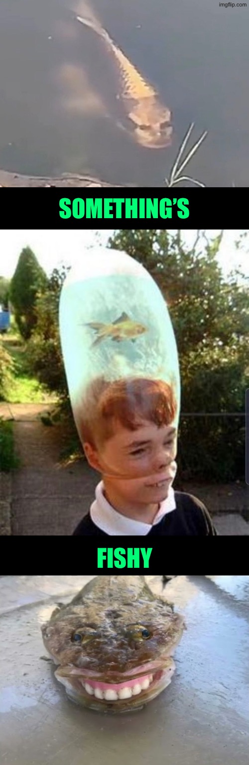 Something’s Fishy | SOMETHING’S; FISHY | image tagged in cursed images,what a terrible day to have eyes,fish,unsee juice,drink bleach,can't unsee | made w/ Imgflip meme maker