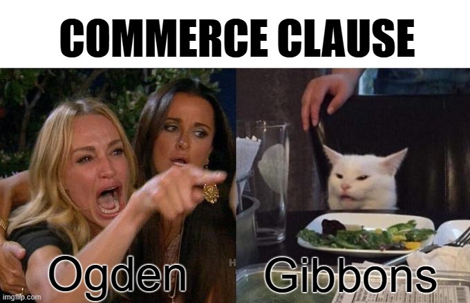 Commerce Clause Aviation Legislation | COMMERCE CLAUSE; Ogden; Gibbons | image tagged in memes,woman yelling at cat | made w/ Imgflip meme maker