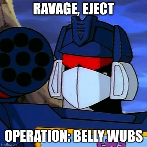 Soundwave | RAVAGE, EJECT; OPERATION: BELLY WUBS | image tagged in soundwave | made w/ Imgflip meme maker