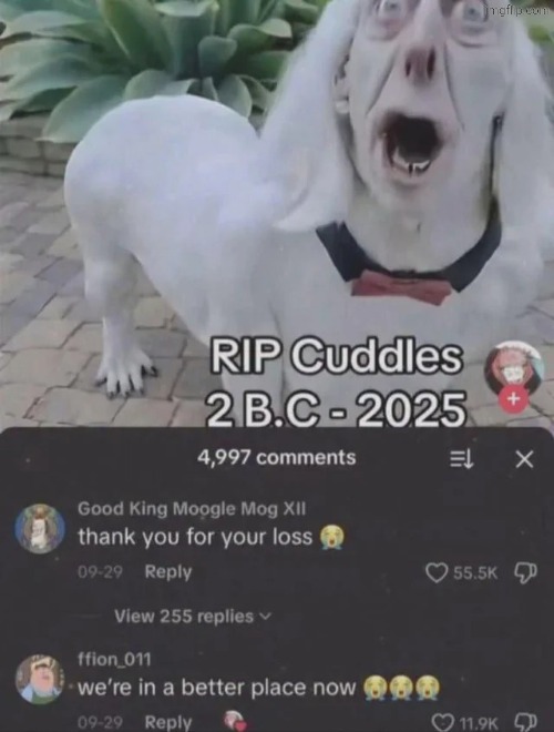 Unnatural | image tagged in msmg | made w/ Imgflip meme maker