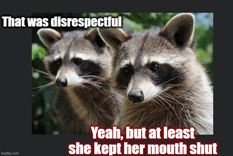 That was disrespectful Yeah, but at least she kept her mouth shut | made w/ Imgflip meme maker