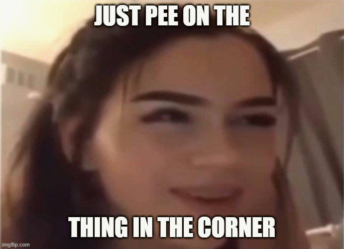 JUST PEE ON THE THING IN THE CORNER | image tagged in problem solver | made w/ Imgflip meme maker
