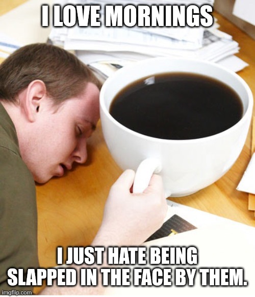 coffee morning sleeping desk | I LOVE MORNINGS; I JUST HATE BEING SLAPPED IN THE FACE BY THEM. | image tagged in coffee morning sleeping desk | made w/ Imgflip meme maker