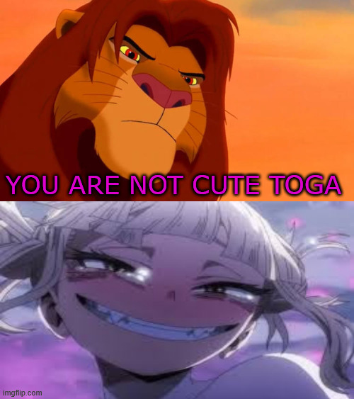simba angry at toga | YOU ARE NOT CUTE TOGA | image tagged in simba angry at who,lion king,my hero academia,anime,toga,feeling cute | made w/ Imgflip meme maker