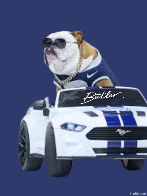 Butler Bulldogs meme | image tagged in memes,butler,bulldogs,basketball,car,nba memes | made w/ Imgflip meme maker