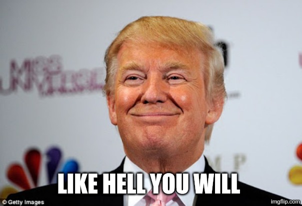 Donald trump approves | LIKE HELL YOU WILL | image tagged in donald trump approves | made w/ Imgflip meme maker