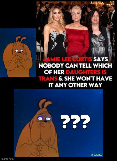 This is a gift that keeps on giving | image tagged in jamie lee curtis,transgender,son,democrats,politics | made w/ Imgflip meme maker