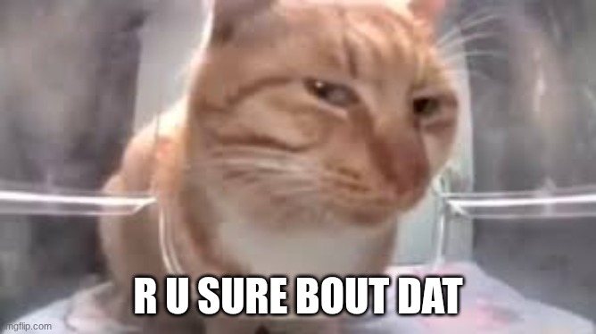 side eye cat | R U SURE BOUT DAT | image tagged in side eye cat | made w/ Imgflip meme maker