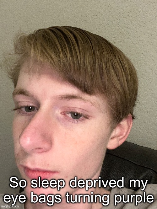 I love high school, can’t wait for college fr | So sleep deprived my eye bags turning purple | made w/ Imgflip meme maker
