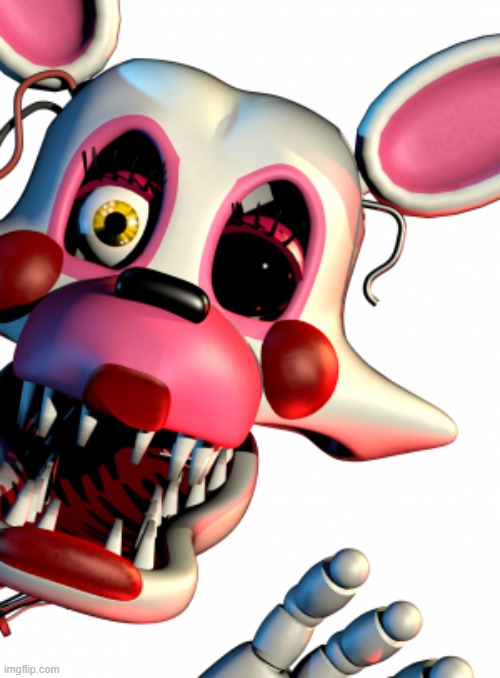 Mangle FNAF | image tagged in mangle fnaf | made w/ Imgflip meme maker