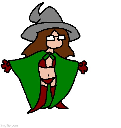 The bikini armor has been given to the mage | made w/ Imgflip meme maker