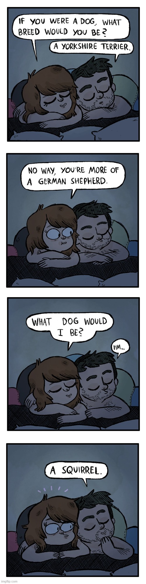 image tagged in bed,dog,dogs,yorkshire terrier,german shepherd,squirrel | made w/ Imgflip meme maker