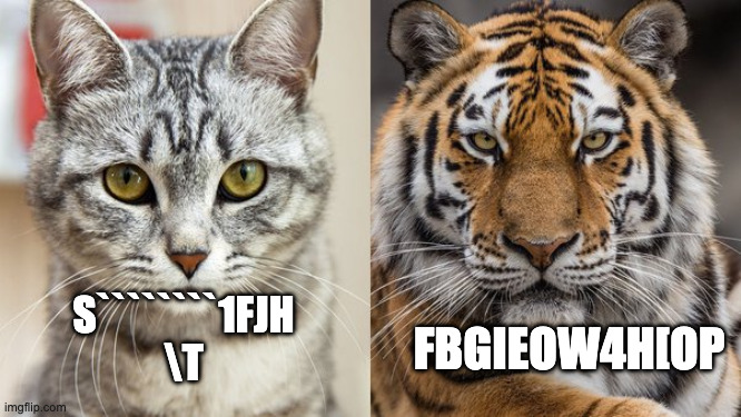 my cat made this meme :) | S````````1FJH
\T; FBGIEOW4H[OP | image tagged in im you but stronger,cats,cat,tiger | made w/ Imgflip meme maker