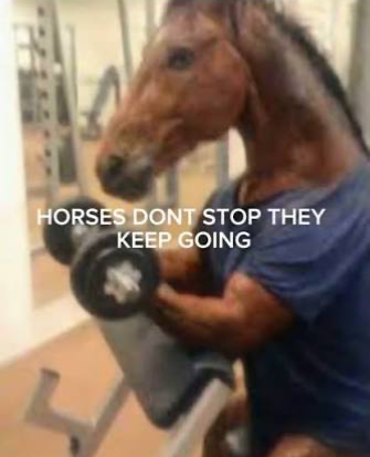Horses don’t stop Blank Meme Template