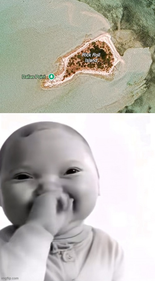 Meanwhile in the Bahamas | image tagged in baby holding laugh,memes,funny,rickroll,island,bruh | made w/ Imgflip meme maker