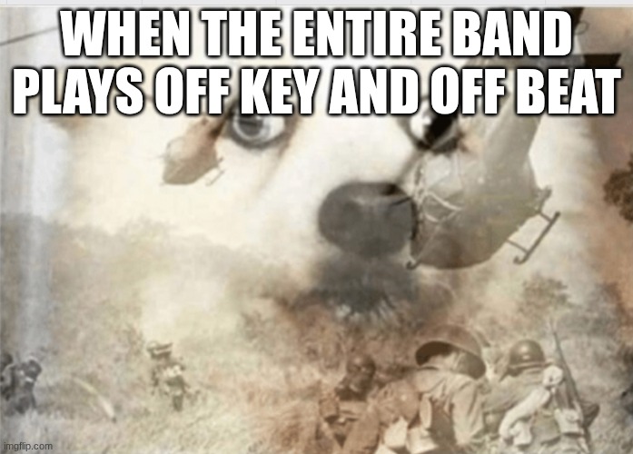don't do it | WHEN THE ENTIRE BAND PLAYS OFF KEY AND OFF BEAT | image tagged in ptsd dog | made w/ Imgflip meme maker