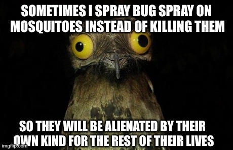 Weird Stuff I Do Potoo Meme | SOMETIMES I SPRAY BUG SPRAY ON MOSQUITOES INSTEAD OF KILLING THEM SO THEY WILL BE ALIENATED BY THEIR OWN KIND FOR THE REST OF THEIR LIVES | image tagged in memes,weird stuff i do potoo | made w/ Imgflip meme maker