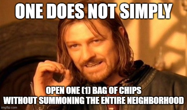 why does this AI meme (AI) have to say one (1) | ONE DOES NOT SIMPLY; OPEN ONE (1) BAG OF CHIPS WITHOUT SUMMONING THE ENTIRE NEIGHBORHOOD | image tagged in memes,one does not simply | made w/ Imgflip meme maker