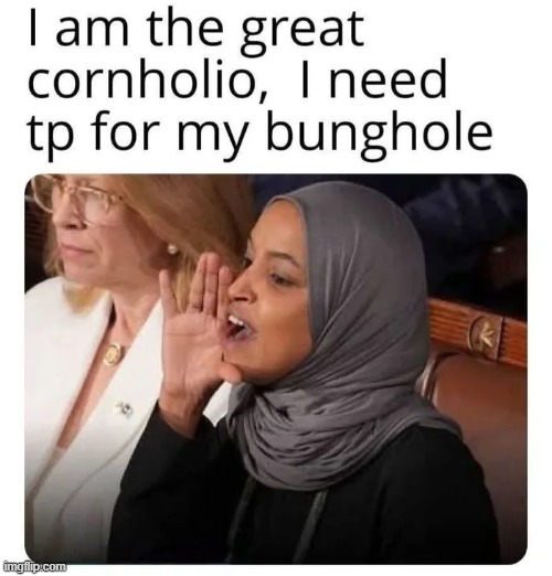 Ilhan Omar at the State of the Union address. LOL | image tagged in minnesota,muslim,democrat,beavis cornholio,meme,politics | made w/ Imgflip meme maker
