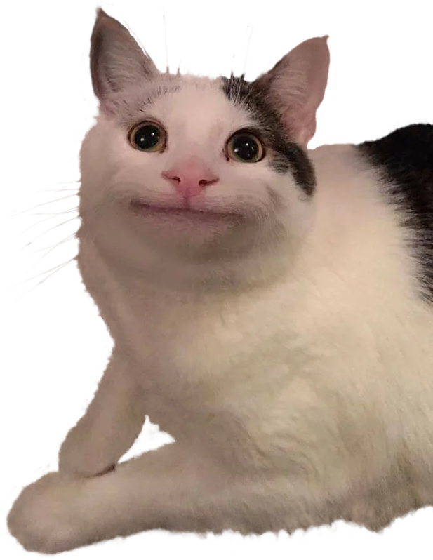 Polite Cat Blank Meme Template