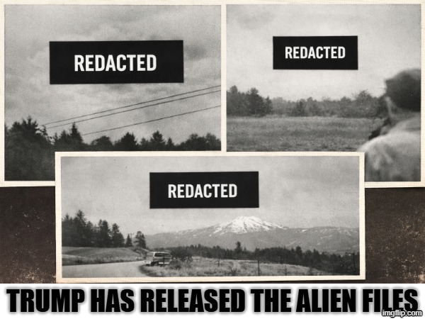 trump has released the alien files | TRUMP HAS RELEASED THE ALIEN FILES | image tagged in ufo,files | made w/ Imgflip meme maker