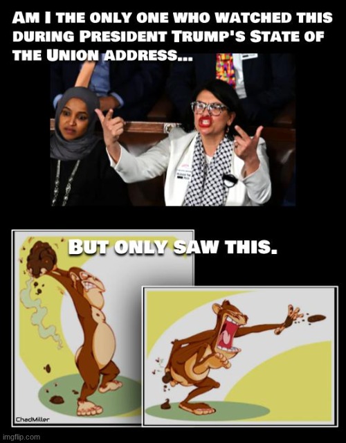 Democrats ARE a domestic political terrorist organization! It's time to treat them as such! | image tagged in state of the union,ilhan omar,rashida tlaib,democrats,trump,politics | made w/ Imgflip meme maker